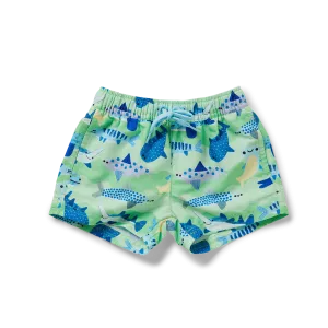Halcyon Nights Fintastic Kids Boardshorts